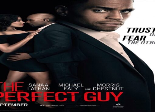 film the perfect guy
