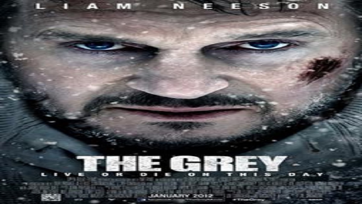 film the grey